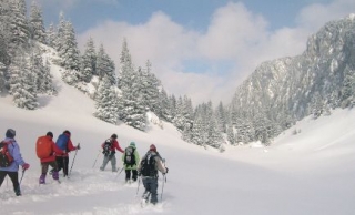 Rutas con raquetas de nieve 
